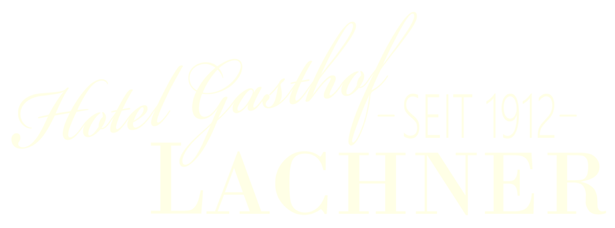 Logo Lachner
